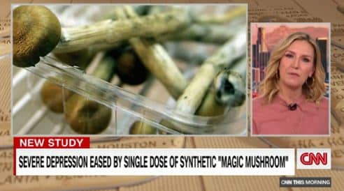 CNN Covers Psilocybin Therapy Study for Treatment-Resistant Depression
