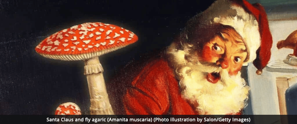 Santa Claus and fly agaric